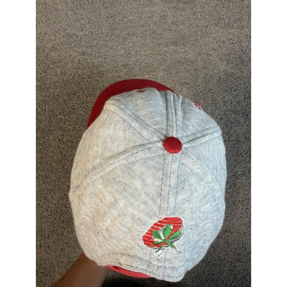 Ohio State Buckeyes Hat Mens One Size Gray Strap Back Football Team Apparel